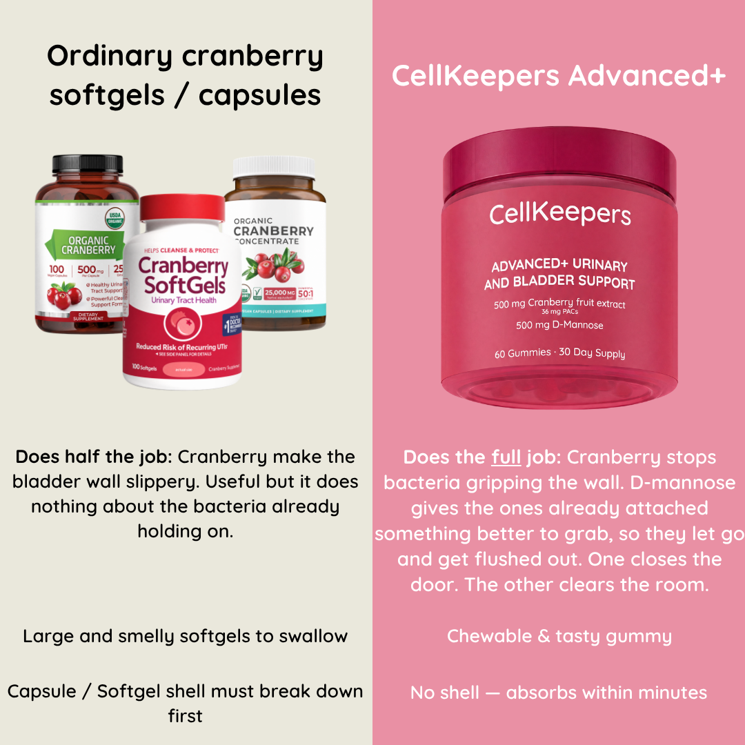 ADVANCED+ Urinary And Bladder Support